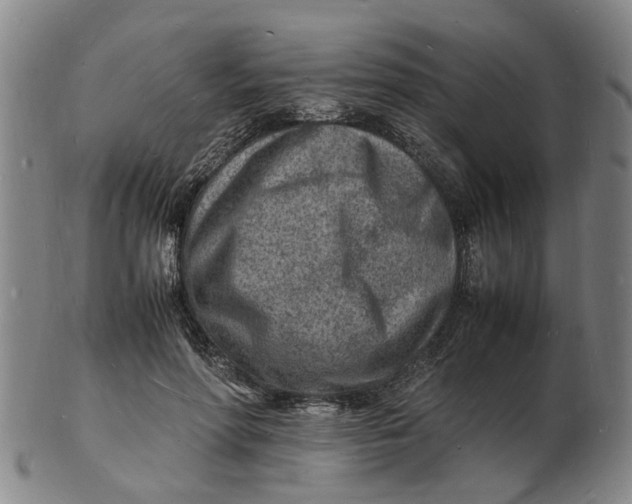 X0000102780598200809081029