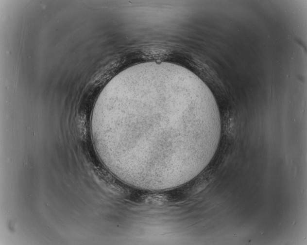 X0000102780599200809081029