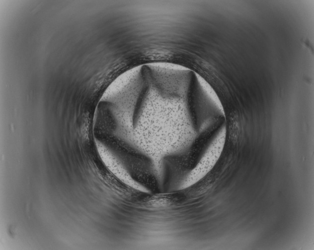 X0000102780604200809081029