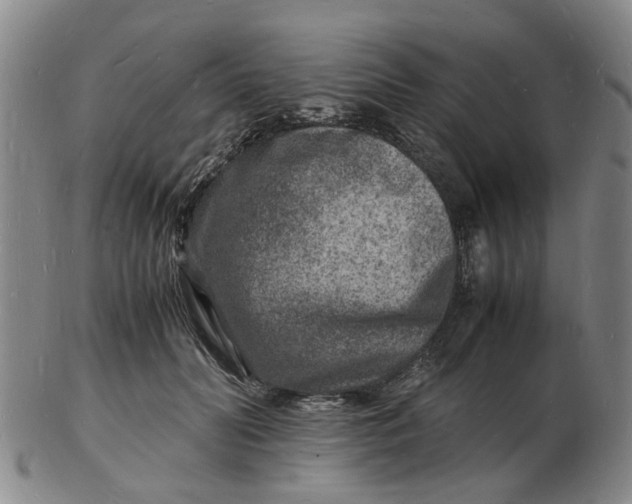 X0000102780606200809081029