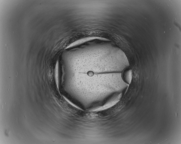 X0000102780607200809081029