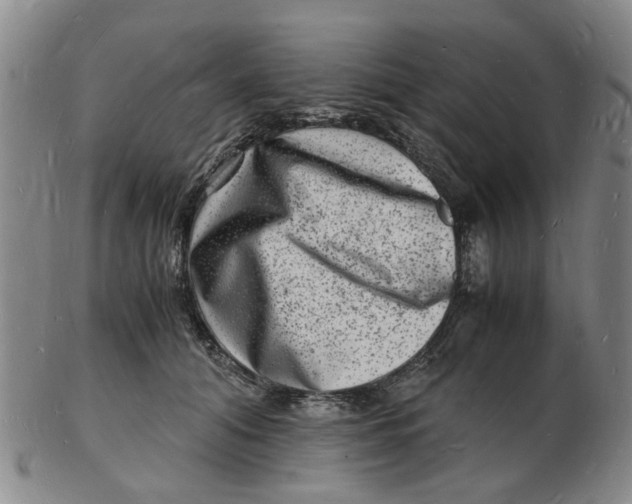 X0000102780608200809081029