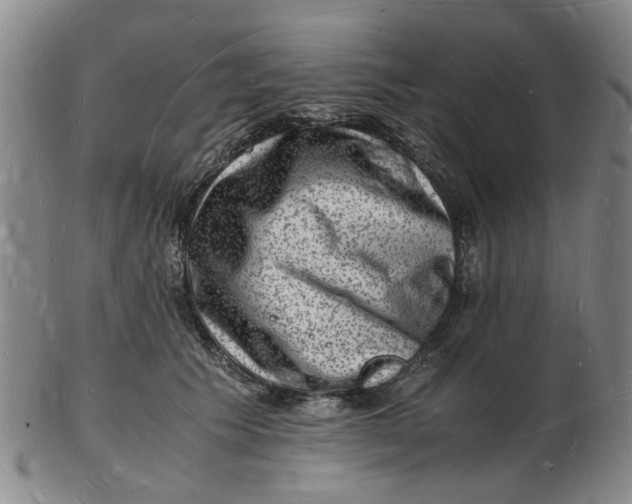 X0000102780609200809081029