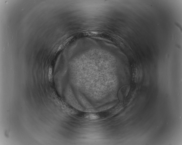 X0000102780610200809081029