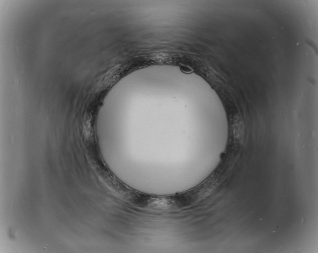 X0000102780611200809081029