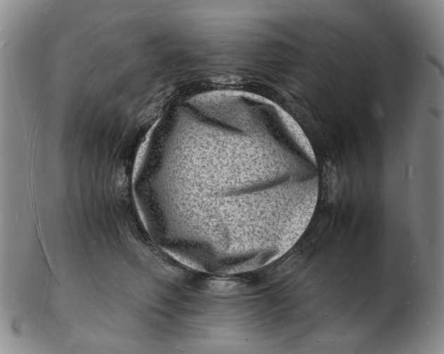 X0000102780614200809081029