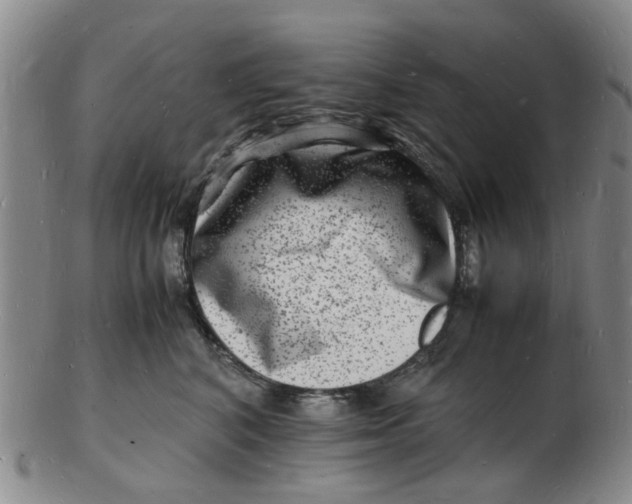 X0000102780616200809081029