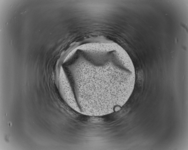 X0000102780617200809081029