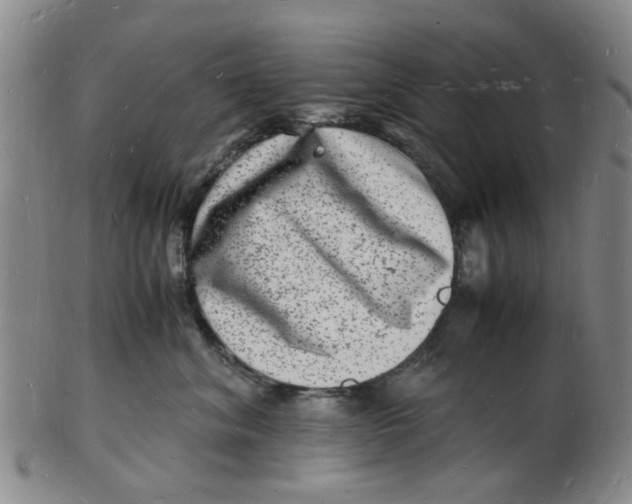 X0000102780620200809081029