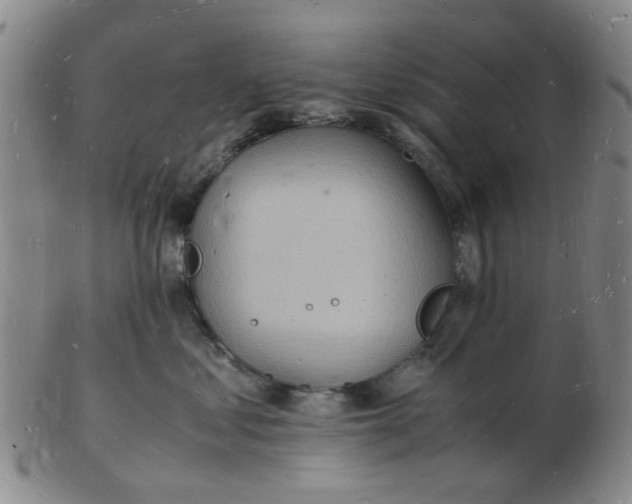 X0000102780621200809081029