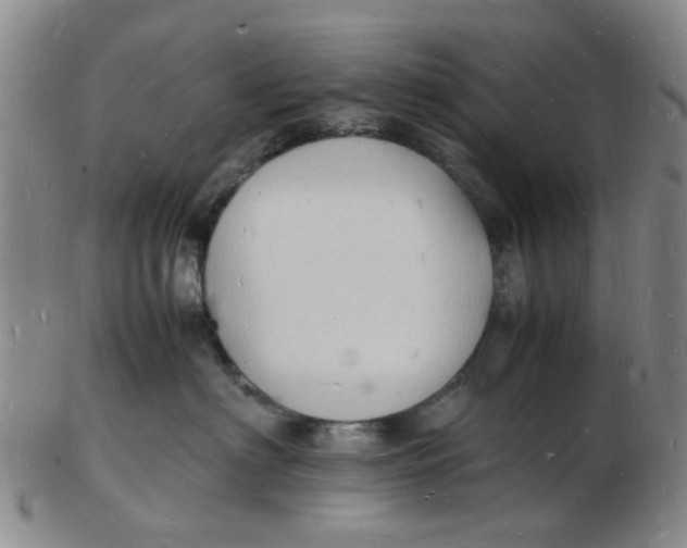 X0000102780622200809081029