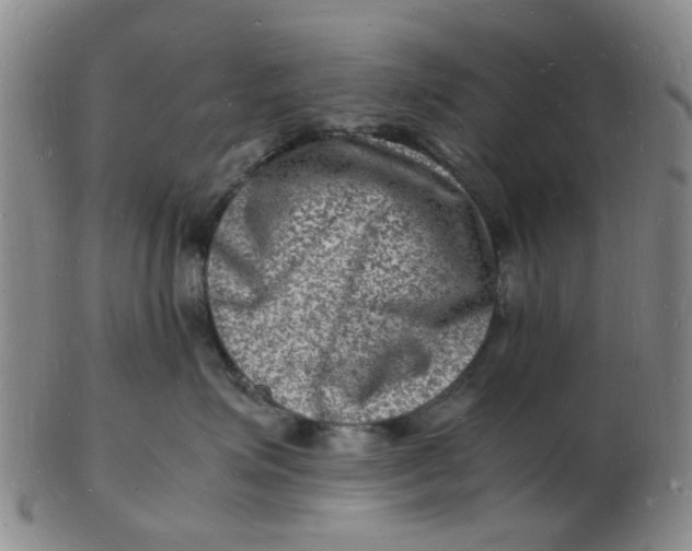 X0000102780623200809081029