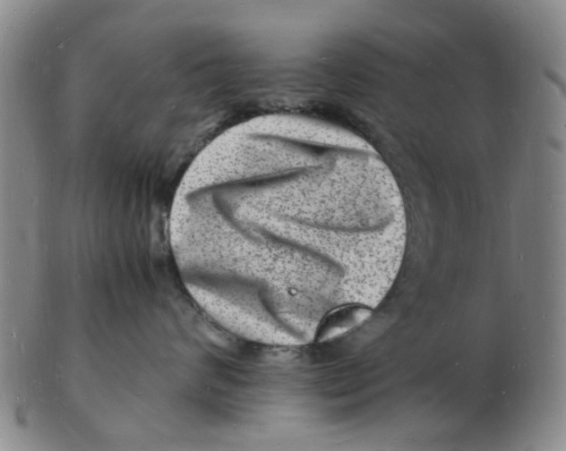 X0000102780624200809081029