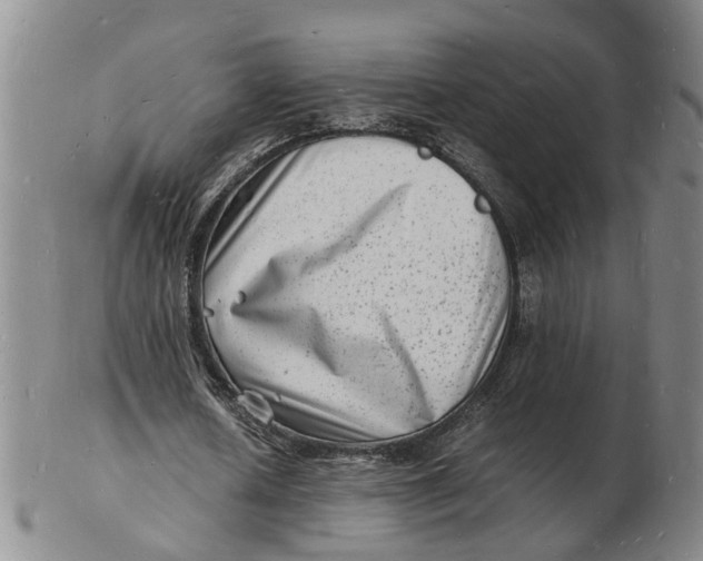 X0000102780626200809081028