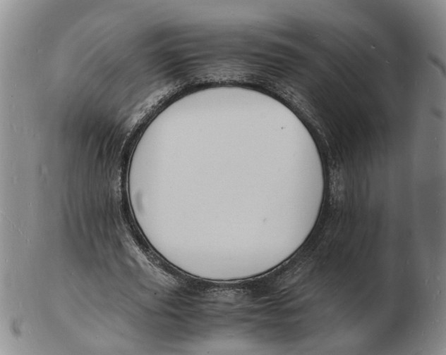 X0000102780629200809081028