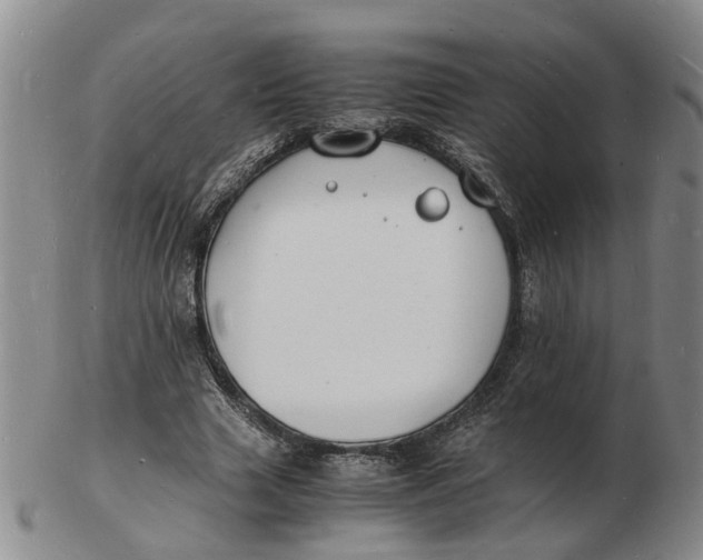 X0000102780633200809081028