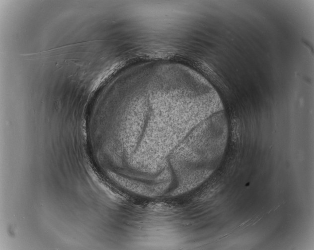 X0000102780634200809081028