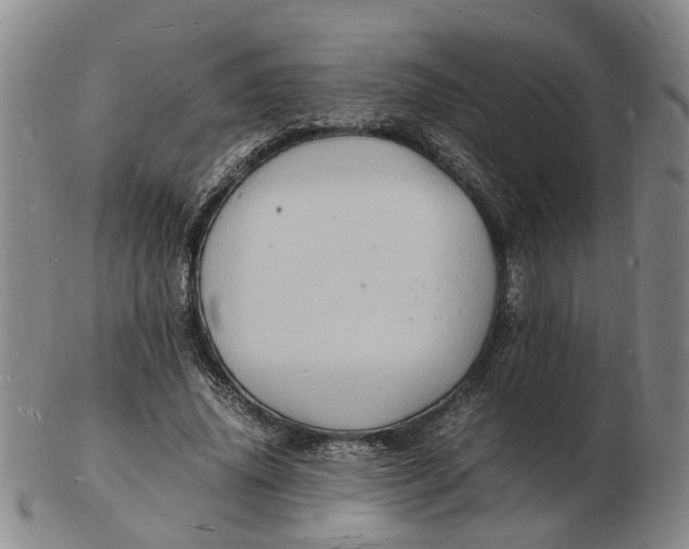 X0000102780636200809081028