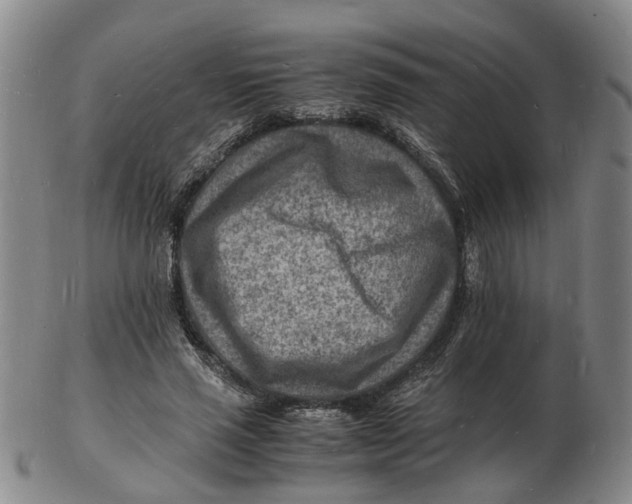 X0000102780637200809081028