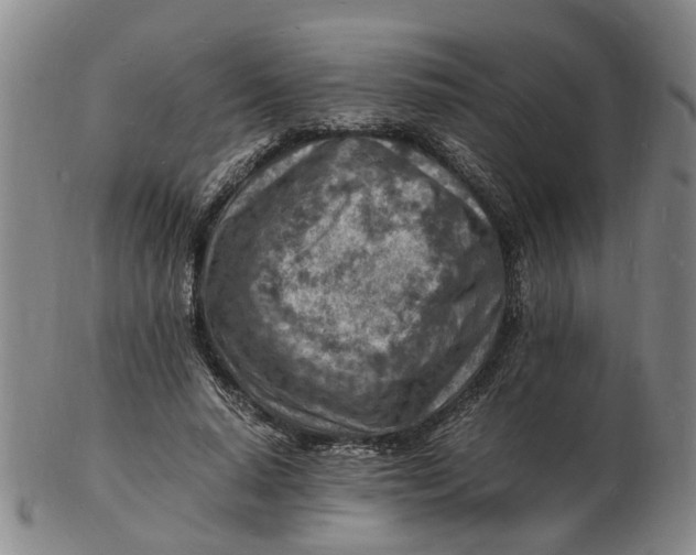 X0000102780640200809081028