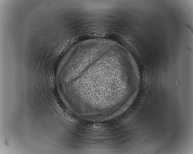 X0000102780641200809081028