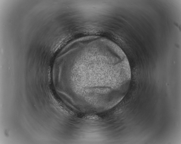 X0000102780642200809081028