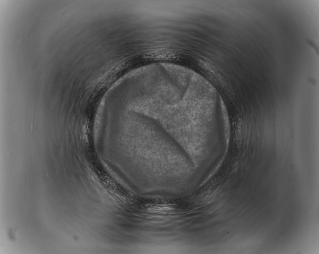 X0000102780643200809081028