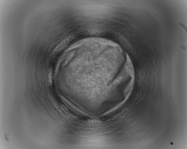 X0000102780644200809081028