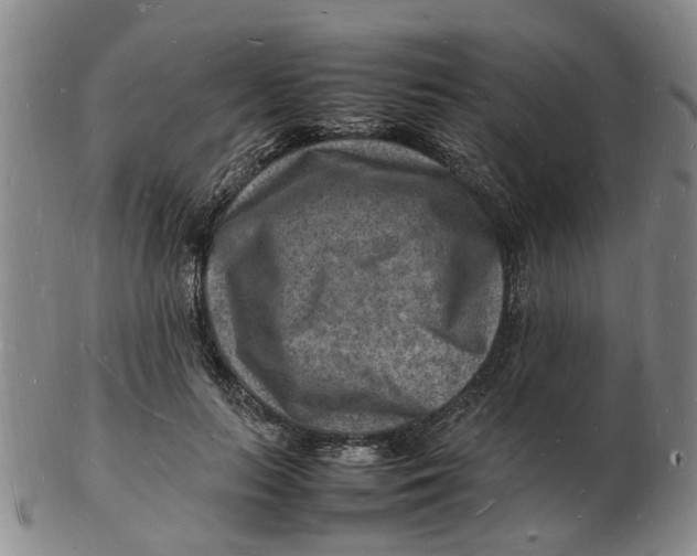 X0000102780647200809081028