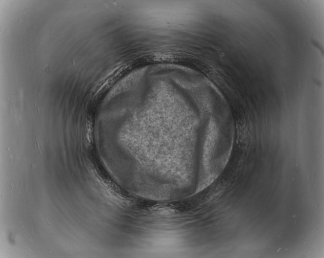 X0000102780648200809081028