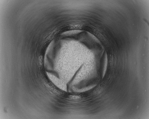 X0000102780649200809081028