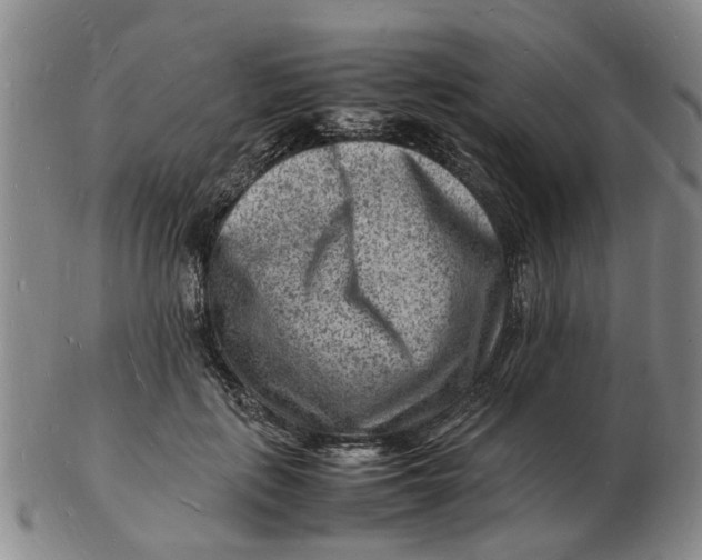 X0000102780651200809081028