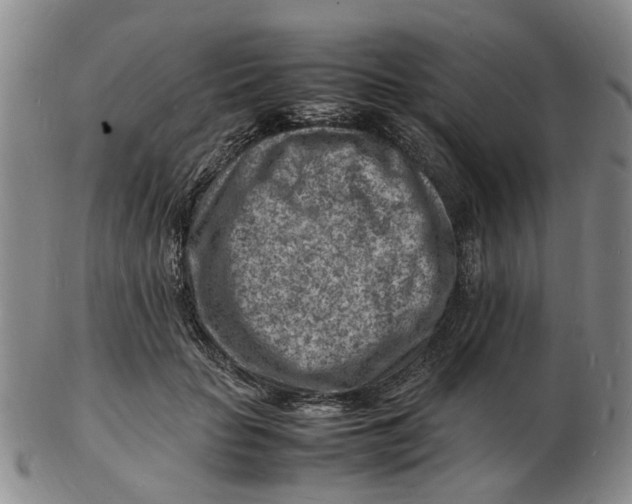 X0000102780653200809081028