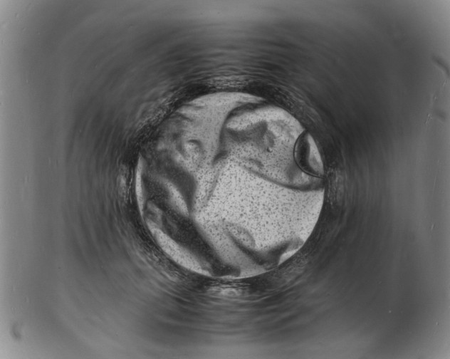 X0000102780655200809081028