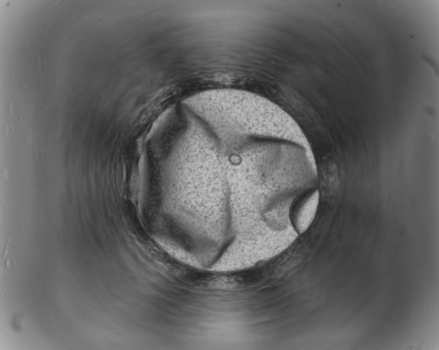 X0000102780656200809081028