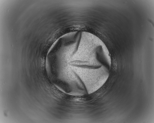 X0000102780657200809081028