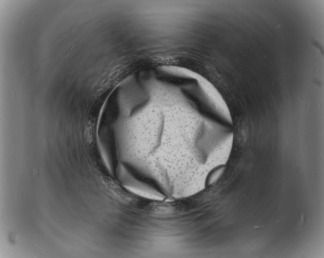 X0000102780658200809081028