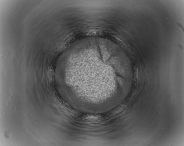 X0000102780659200809081028