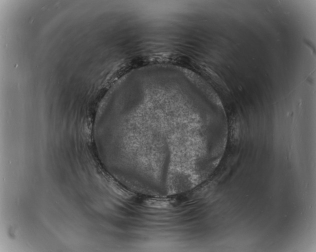 X0000102780661200809081028