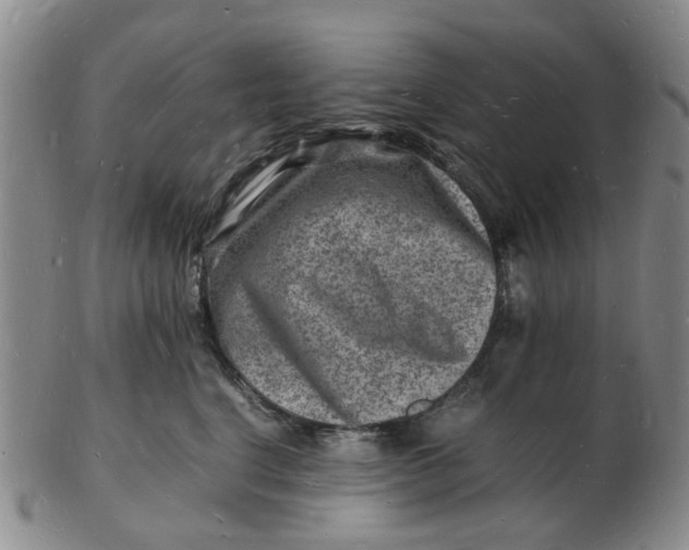 X0000102780664200809081028