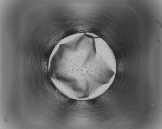 X0000102780666200809081028