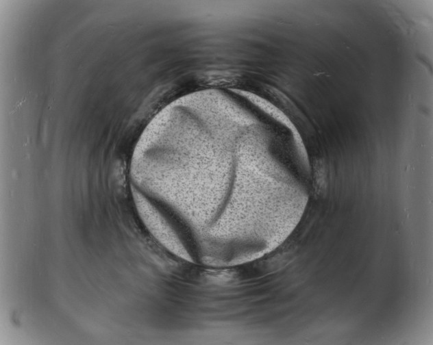 X0000102780667200809081028