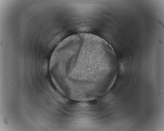 X0000102780668200809081028