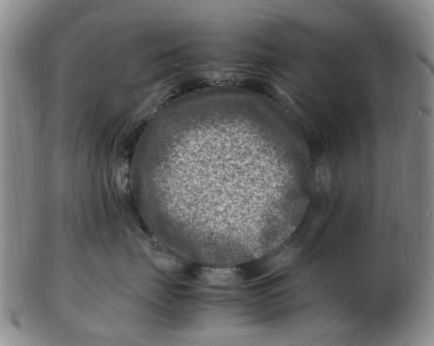 X0000102780671200809081028