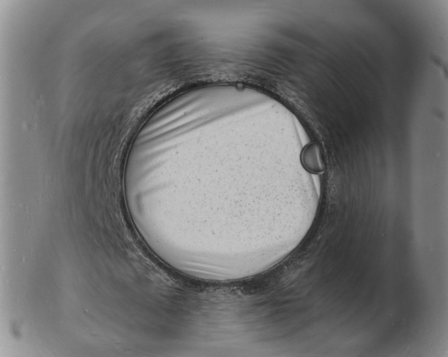 X0000102780673200809081028