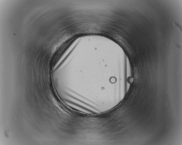 X0000102780677200809081028