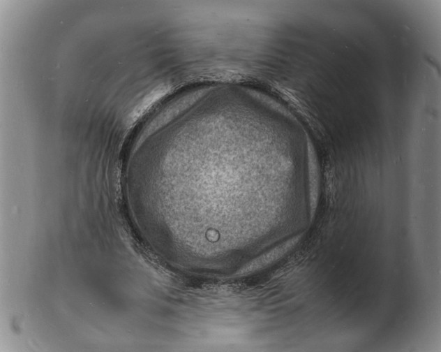 X0000102780679200809081028