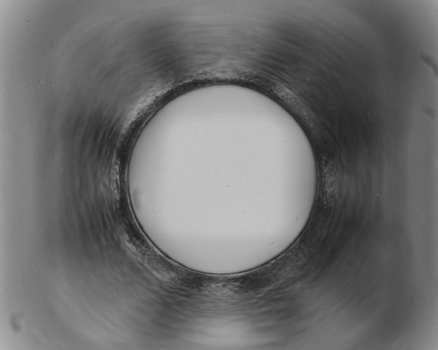 X0000102780680200809081028