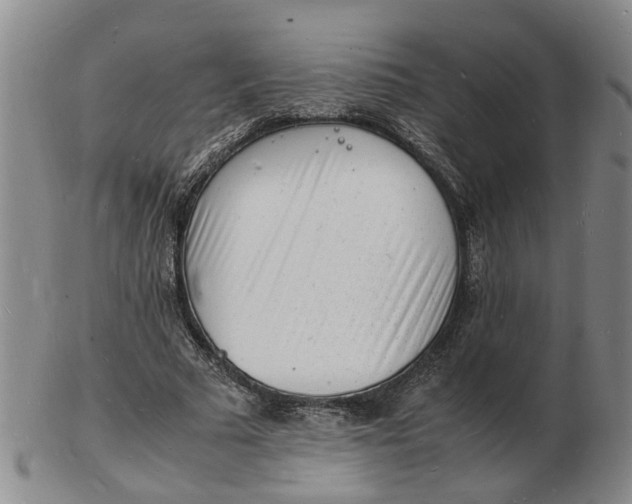 X0000102780681200809081028