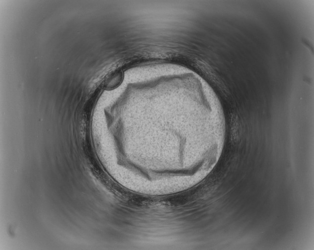 X0000102780683200809081028